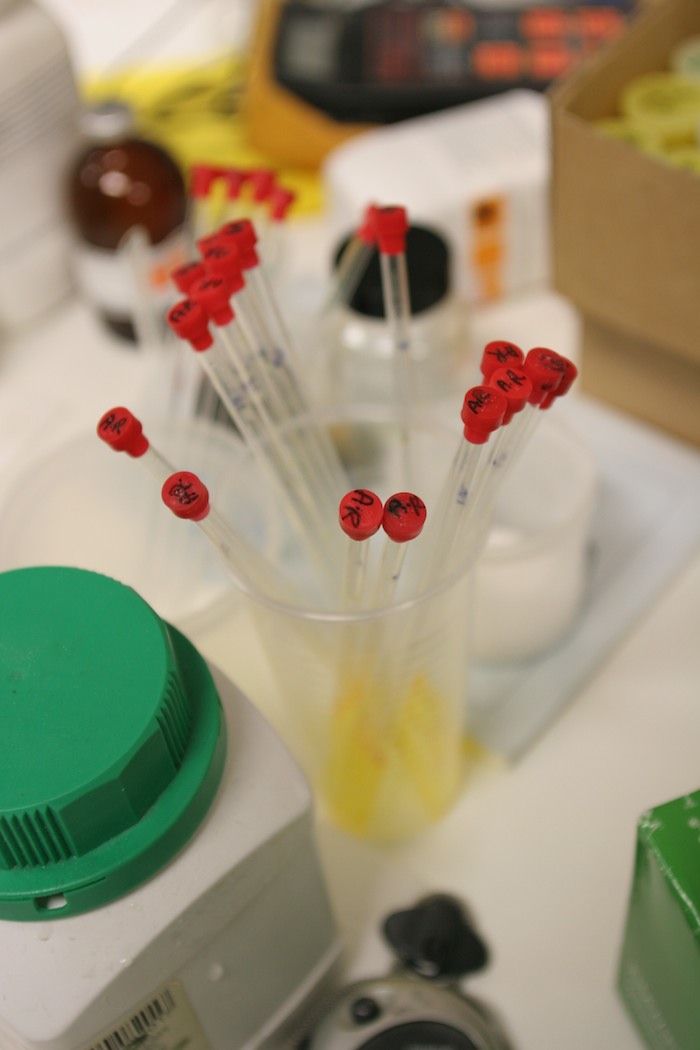 Test tubes